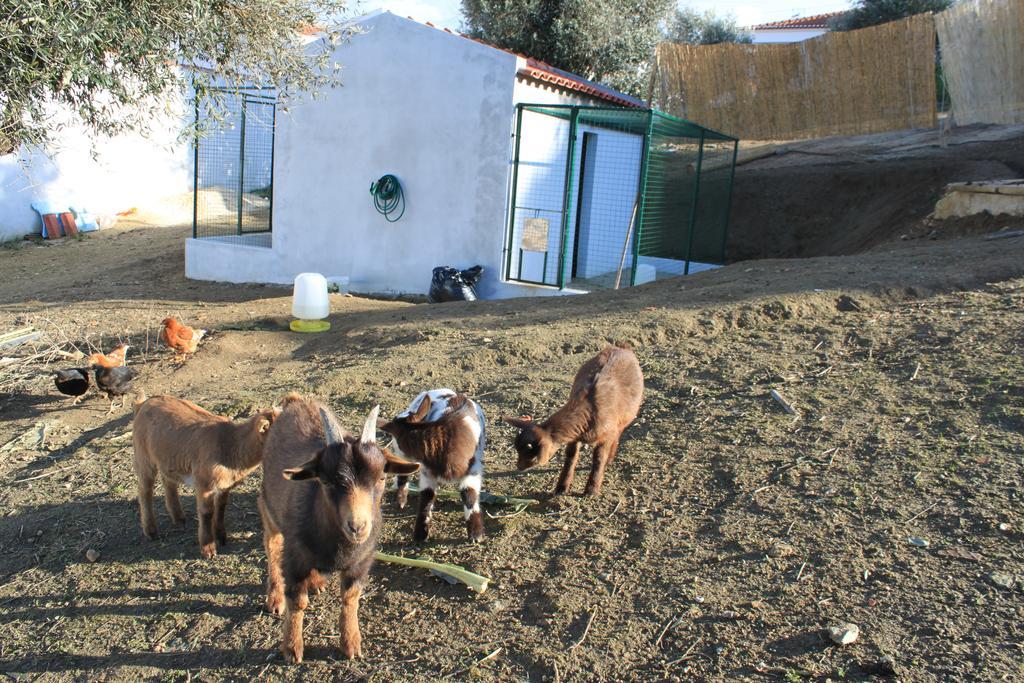 Hotel O Gato & Spa Odivelas  Eksteriør billede